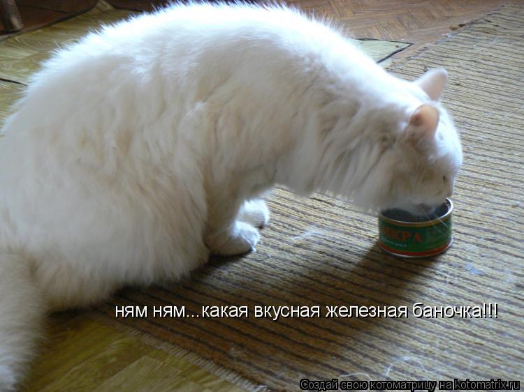 Попка ням ням порно 27