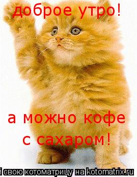 Котоматрица: доброе утро! а можно кофе с сахаром!