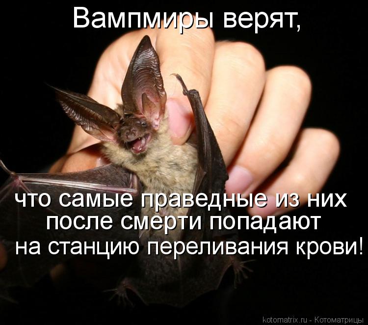 Вампмиры верят, что самые праведные из них после смерти попадают на станцию переливания крови!... Котоматрица: Вампмиры верят, что самые праведные из них после смерти попадают на станцию переливания крови!