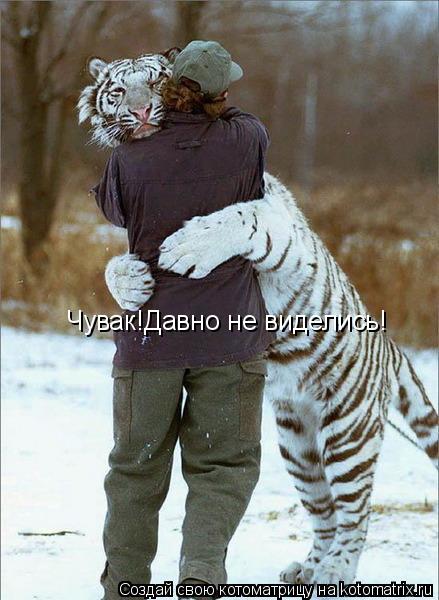 Котоматрица: Чувак!Давно не виделись!