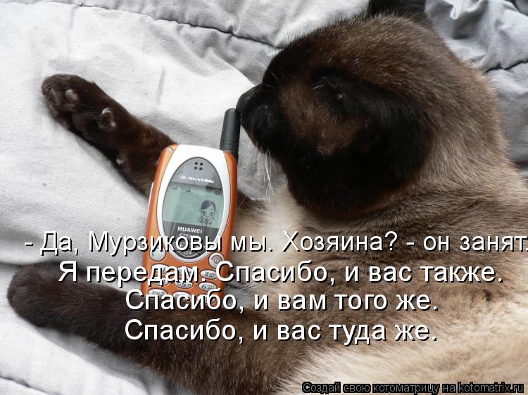 - Да, Мурзиковы мы. Хозяина? - он занят. Я передам. Спасибо, и вас также. Спасибо, и вам того же. Спа... Котоматрица: - Да, Мурзиковы мы. Хозяина? - он занят. Я передам. Спасибо, и вас также. Спасибо, и вам того же. Спасибо, и вас туда же. Я передам. Спасибо, и вас т