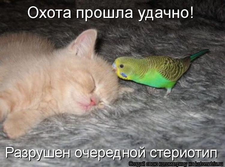 Охота прошла удачно! Разрушен очередной стериотип... Котоматрица: Охота прошла удачно! Разрушен очередной стериотип