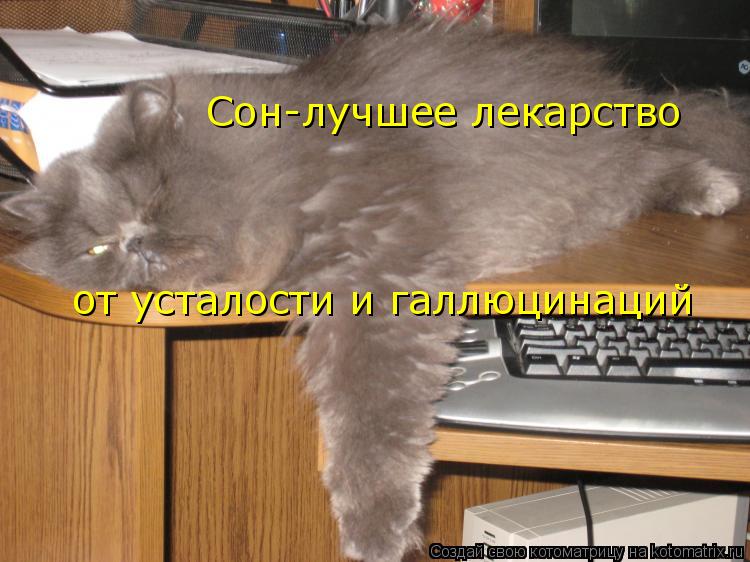 Сон-лучшее лекарство от усталости и галлюцинаций... Котоматрица: Сон-лучшее лекарство от усталости и галлюцинаций