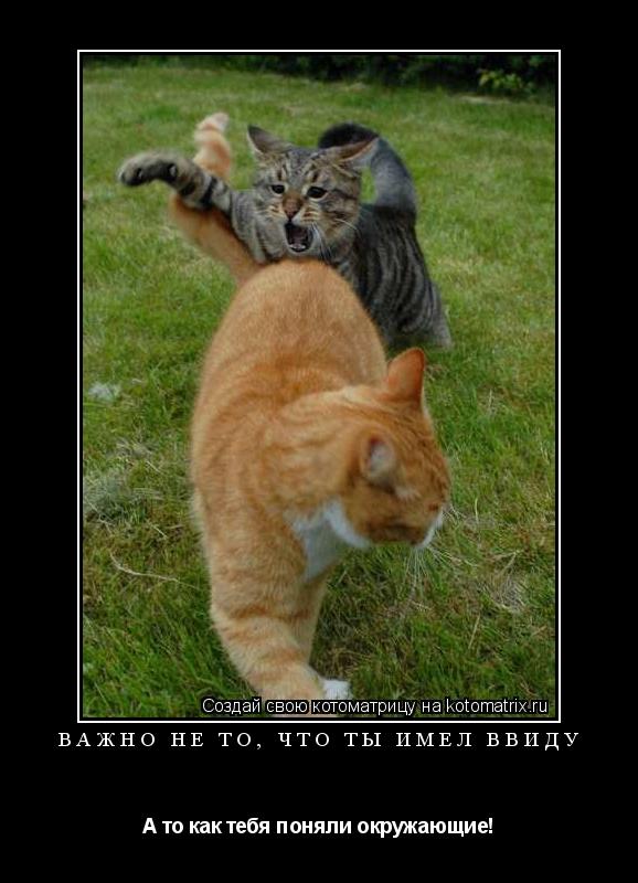 Важно не то, что ты имел ввиду А то как тебя поняли окружающие!... Котоматрица: Важно не то, что ты имел ввиду А то как тебя поняли окружающие!