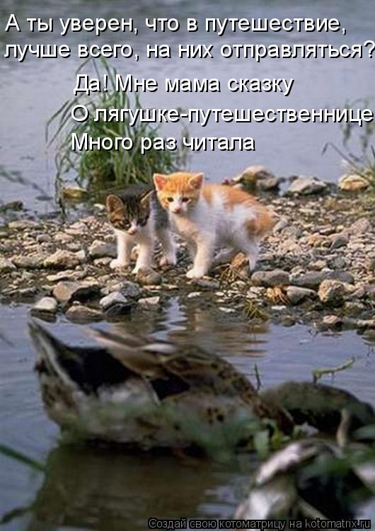 лучше всего, на них отправляться? Да! Мне мама сказку О лягушке-путешественнице Много раз читала А ты... Котоматрица: лучше всего, на них отправляться? Да! Мне мама сказку О лягушке-путешественнице Много раз читала А ты уверен, что в путешествие,