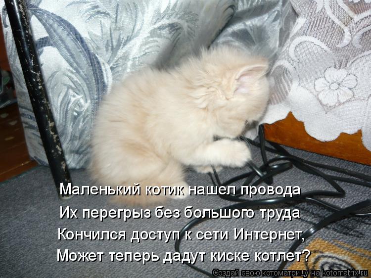 Маленький котик нашел провода Их перегрыз без большого труда Кончился доступ к сети Интернет, Может... Котоматрица: Маленький котик нашел провода Их перегрыз без большого труда Кончился доступ к сети Интернет, Может теперь дадут киске котлет?