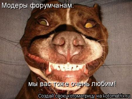 Модеры форумчанам: мы вас тоже очень любим!... Котоматрица: Модеры форумчанам: мы вас тоже очень любим!