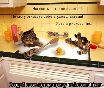 Наглость - второе счастье! Не могу отказать себе в удовольствии! Хоть и рискованно...... Котоматрица: Наглость - второе счастье! Не могу отказать себе в удовольствии! Хоть и рискованно...