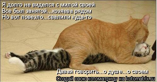 Я долго не виделся с милой своей Все был занятой...хозяева рядом Но вот повезло...свалили куда-то Дав... Котоматрица: Я долго не виделся с милой своей Все был занятой...хозяева рядом Но вот повезло...свалили куда-то Давай говорить...о душе...о своем