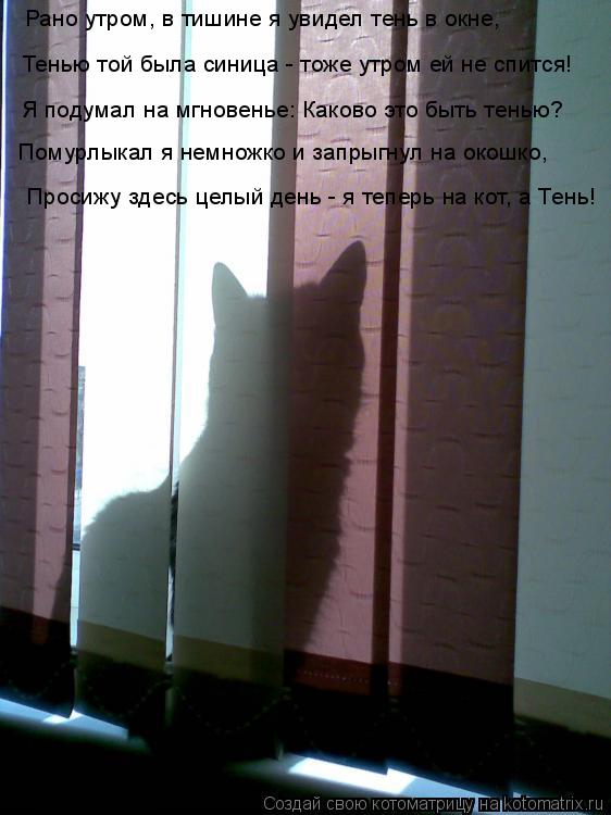 Просижу здесь целый день - я теперь на кот, а Тень! Рано утром, в тишине я увидел тень в окне, Тенью ... Котоматрица: Просижу здесь целый день - я теперь на кот, а Тень! Рано утром, в тишине я увидел тень в окне, Тенью той была синица - тоже утром ей не спится! Я