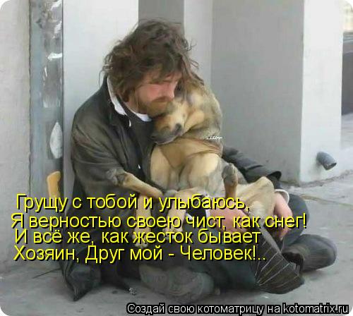 Грущу с тобой и улыбаюсь, Я верностью своею чист, как снег! И всё же, как жесток бывает Хозяин, Друг... Котоматрица: Грущу с тобой и улыбаюсь, Я верностью своею чист, как снег! И всё же, как жесток бывает Хозяин, Друг мой - Человек!..