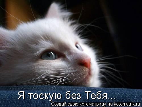 картинки я тоскую по тебе