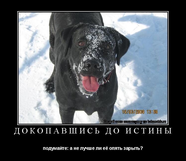 Докопавшись до истины подумайте: а не лучше ли её опять зарыть?... Котоматрица: Докопавшись до истины подумайте: а не лучше ли её опять зарыть?