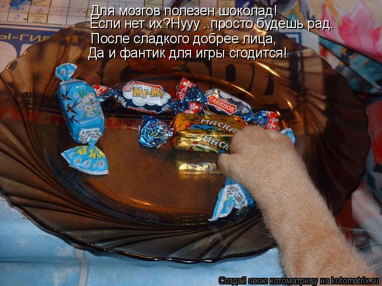 Котоматрица: Для мозгов полезен шоколад! После сладкого добрее лица, Да и фантик для игры сгодится! Если нет их?Нууу ..просто будешь рад.