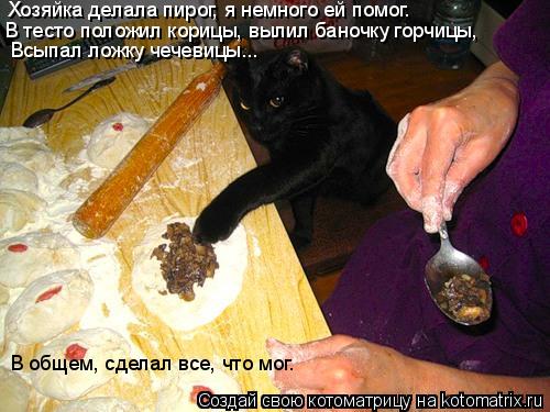Хозяйка делала пирог, я немного ей помог. В тесто положил корицы, вылил баночку горчицы, В общем, ... Котоматрица: Хозяйка делала пирог, я немного ей помог. В тесто положил корицы, вылил баночку горчицы, В общем, сделал все, что мог. Всыпал ложку чечевицы