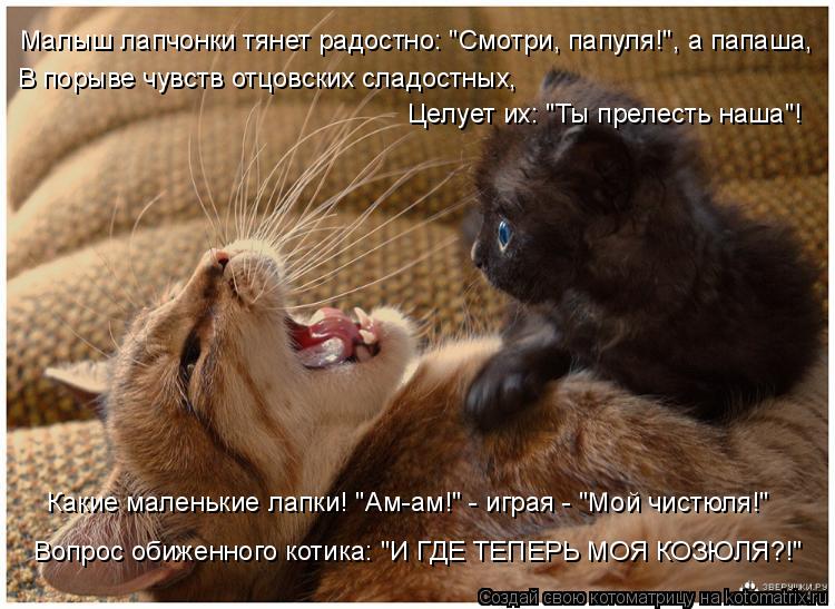 Малыш лапчонки тянет радостно: "Смотри, папуля!", а папаша, В порыве чувств отцовских сладостных, Це... Котоматрица: Малыш лапчонки тянет радостно: "Смотри, папуля!", а папаша, В порыве чувств отцовских сладостных, Целует их: "Ты прелесть наша"! Какие маленьк