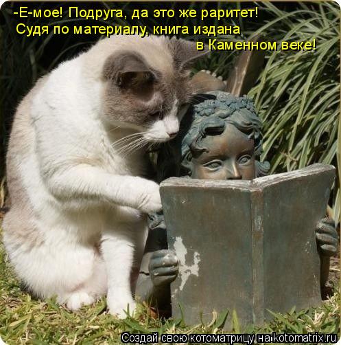 -Е-мое! Подруга, да это же раритет! Судя по материалу, книга издана в Каменном веке!... Котоматрица: -Е-мое! Подруга, да это же раритет! Судя по материалу, книга издана в Каменном веке!