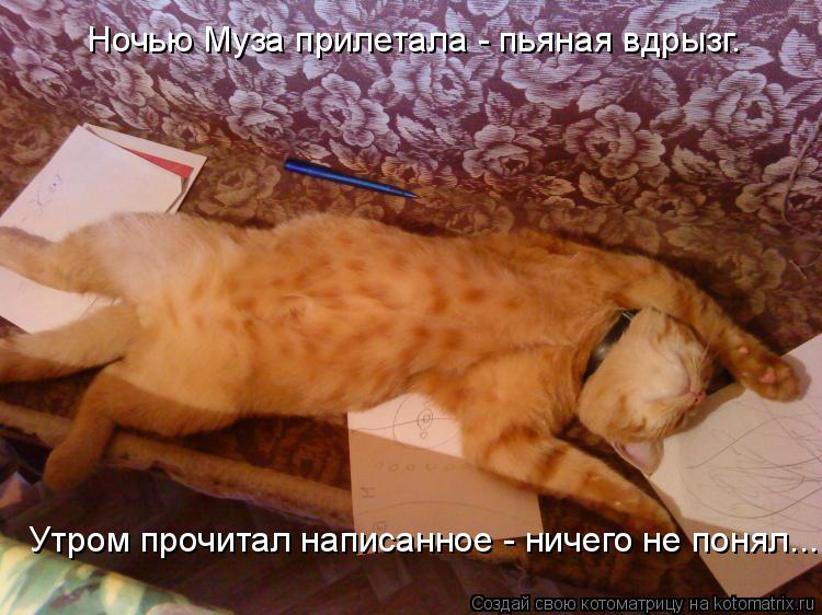 Котоматрица: Ночью Муза прилетала - пьяная вдрызг. Утром прочитал написанное - ничего не понял...