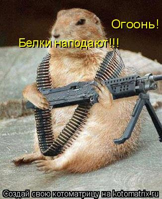 Белки наподают!!! Огоонь!!!... Котоматрица: Белки наподают!!! Огоонь!!!