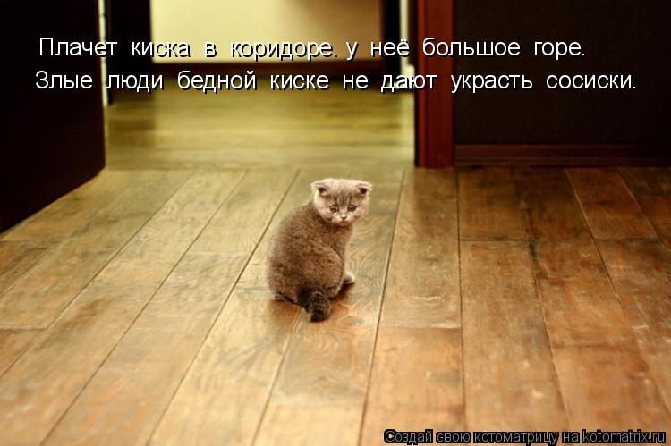 Плачет киска в коридоре. у неё большое горе. Злые люди бедной киске не дают украсть соси... Котоматрица: Плачет киска в коридоре. у неё большое горе. Злые люди бедной киске не дают украсть сосиски.
