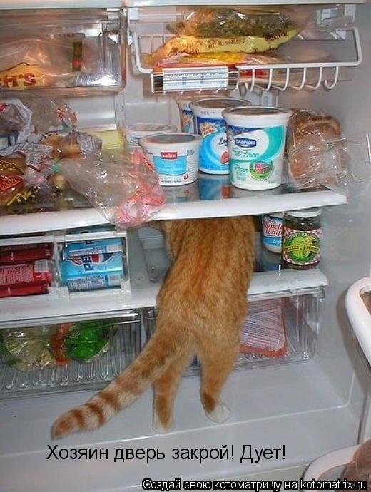 Хозяин дверь закрой! Дует!... Котоматрица: Хозяин дверь закрой! Дует!