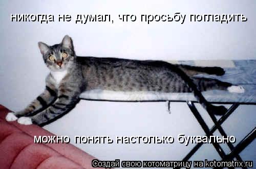 никогда не думал, что просьбу погладить можно понять настолько буквально... Котоматрица: никогда не думал, что просьбу погладить можно понять настолько буквально