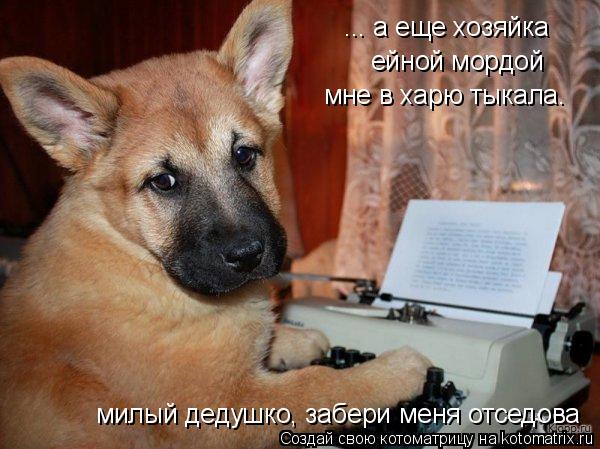 ... а еще хозяйка ейной мордой мне в харю тыкала. милый дедушко, забери меня отседова... Котоматрица: ... а еще хозяйка ейной мордой мне в харю тыкала. милый дедушко, забери меня отседова