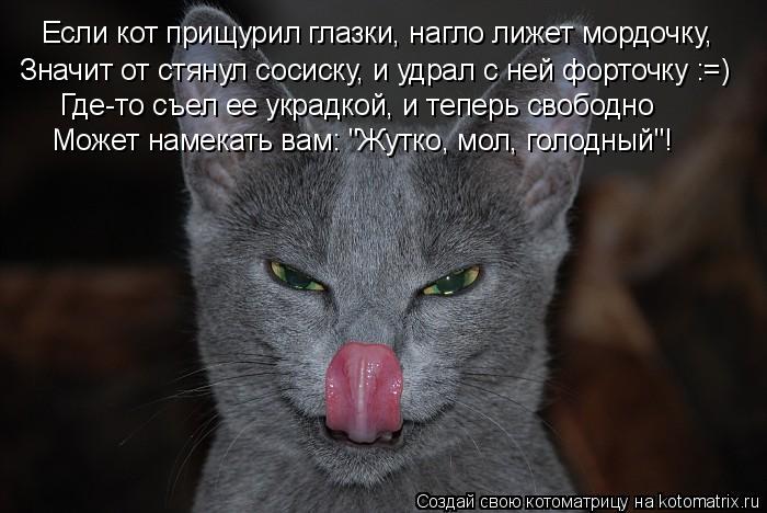 Котоматрица: Если кот прищурил глазки, нагло лижет мордочку, Значит от стянул сосиску, и удрал с ней форточку :=) Где-то съел ее украдкой, и теперь свободно