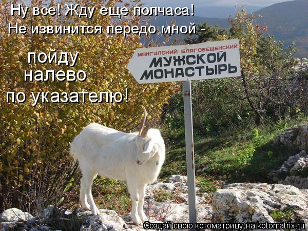 по указателю! налево Не извинится передо мной - пойду Ну все! Жду еще полчаса!... Котоматрица: по указателю! налево Не извинится передо мной - пойду Ну все! Жду еще полчаса!