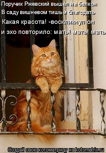 Поручик Ржевский вышел на балкон Какая красота! -воскликнул он и эхо повторило: мать! мать! мать! В с... Котоматрица: Поручик Ржевский вышел на балкон Какая красота! -воскликнул он и эхо повторило: мать! мать! мать! В саду вишневом тишь и благодать