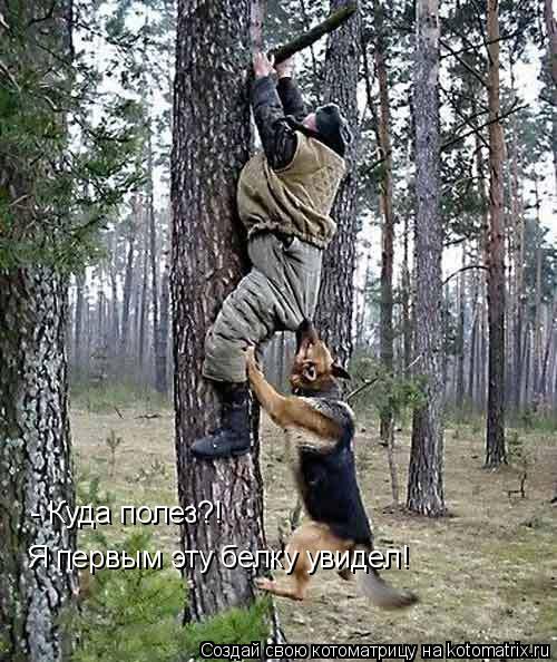 - Куда полез?! Я первым эту белку увидел!... Котоматрица: - Куда полез?! Я первым эту белку увидел!