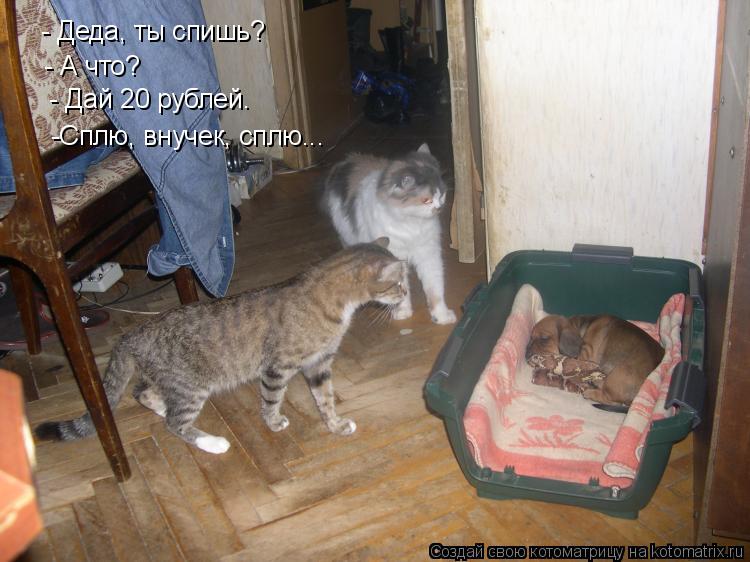 - Деда, ты спишь? - А что? - Дай 20 рублей. -Сплю, внучек, сплю...... Котоматрица: - Деда, ты спишь? - А что? - Дай 20 рублей. -Сплю, внучек, сплю...