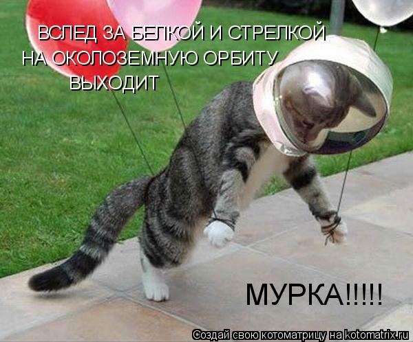 ВСЛЕД ЗА БЕЛКОЙ И СТРЕЛКОЙ ВСЛЕД ЗА БЕЛКОЙ И СТРЕЛКОЙ НА ОКОЛОЗЕМНУЮ ОРБИТУ ВЫХОДИТ МУРКА!!!!!... Котоматрица: ВСЛЕД ЗА БЕЛКОЙ И СТРЕЛКОЙ ВСЛЕД ЗА БЕЛКОЙ И СТРЕЛКОЙ НА ОКОЛОЗЕМНУЮ ОРБИТУ ВЫХОДИТ МУРКА!!!!!