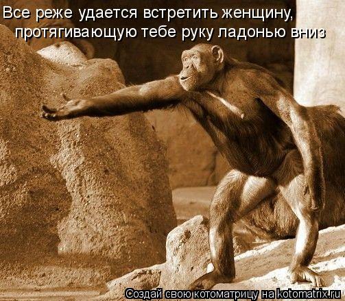 протягивающую тебе руку ладонью вниз Все реже удается встретить женщину,... Котоматрица: протягивающую тебе руку ладонью вниз Все реже удается встретить женщину,