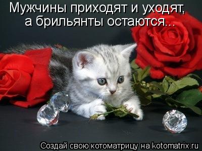 Котоматрица: Мужчины приходят и уходят,  а брильянты остаются...