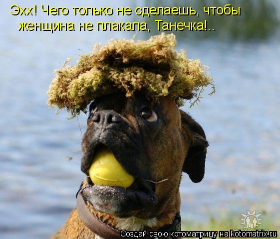 Эхх! Чего только не сделаешь, чтобы женщина не плакала, Танечка!..... Котоматрица: Эхх! Чего только не сделаешь, чтобы женщина не плакала, Танечка!..