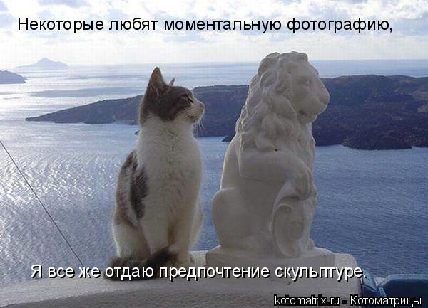 Некоторые любят моментальную фотографию, Я все же отдаю предпочтение скульптуре…... Котоматрица: Некоторые любят моментальную фотографию, Я все же отдаю предпочтение скульптуре…