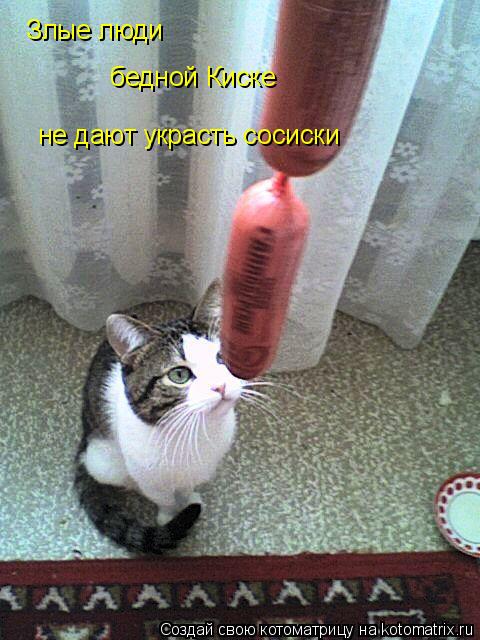 Злые люди бедной Киске не дают украсть сосиски... Котоматрица: Злые люди бедной Киске не дают украсть сосиски
