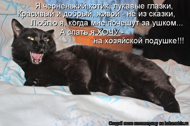 Я черненький котик, лукавые глазки, Красивый и добрый, живой - не из сказки, Люблю я, когда мне поче... Котоматрица: Я черненький котик, лукавые глазки, Красивый и добрый, живой - не из сказки, Люблю я, когда мне почешут за ушком... А спать я ХОЧУ - на хозяйско
