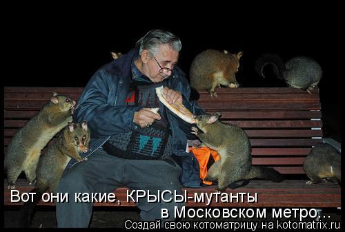 фото мутанта крысы фото мутанта крысы