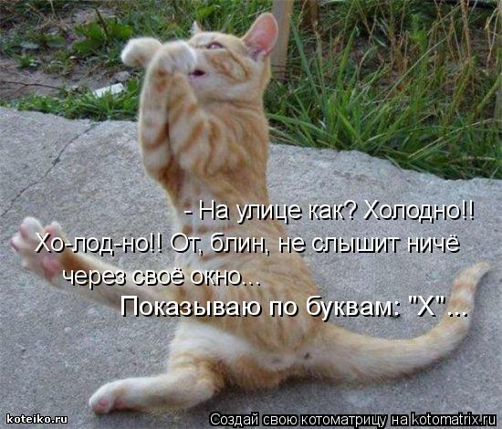 - На улице как? Холодно!! Хо-лод-но!! От, блин, не слышит ничё через своё окно... Показываю по букв... Котоматрица: - На улице как? Холодно!! Хо-лод-но!! От, блин, не слышит ничё через своё окно... Показываю по буквам: "Х"...