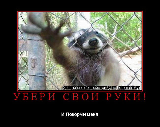 Уберите свои руки 91