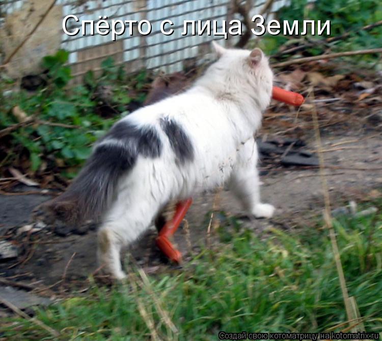 Спёрто с лица Земли... Котоматрица: Спёрто с лица Земли
