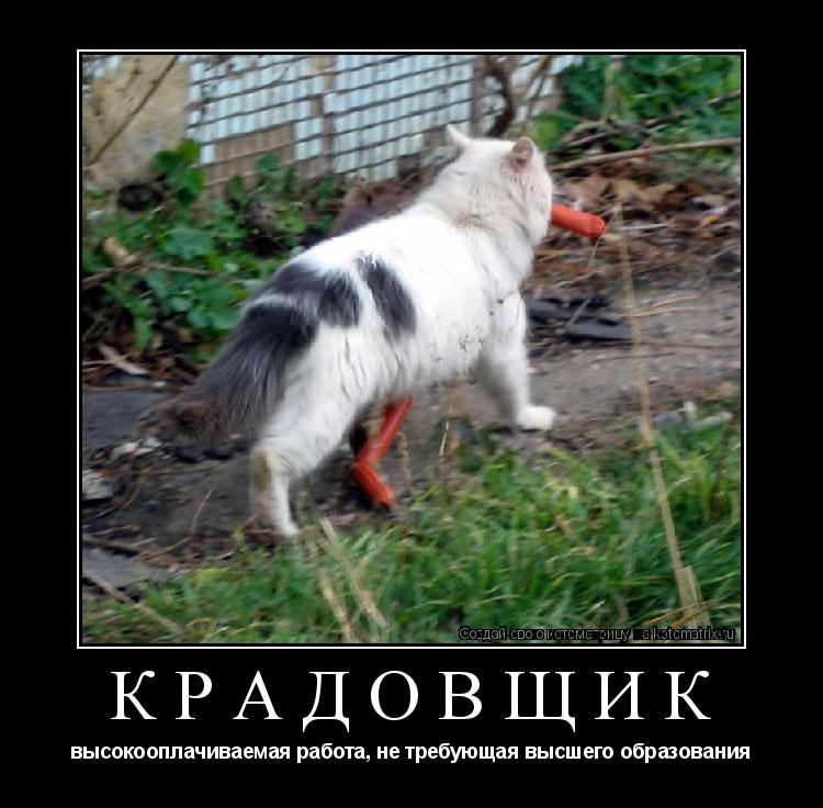 КРАДОВЩИК высокооплачиваемая работа, не требующая высшего образования... Котоматрица: КРАДОВЩИК высокооплачиваемая работа, не требующая высшего образования