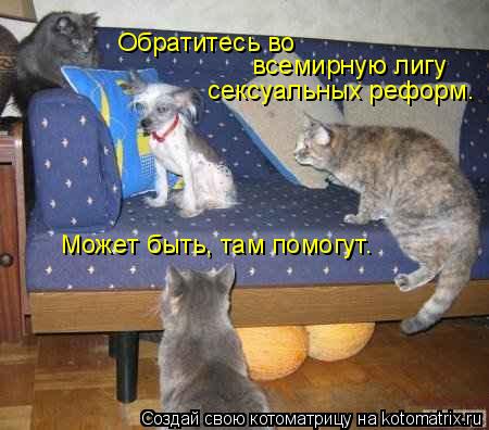 Обратитесь во всемирную лигу сексуальных реформ. Может быть, там помогут.... Котоматрица: Обратитесь во всемирную лигу сексуальных реформ. Может быть, там помогут.