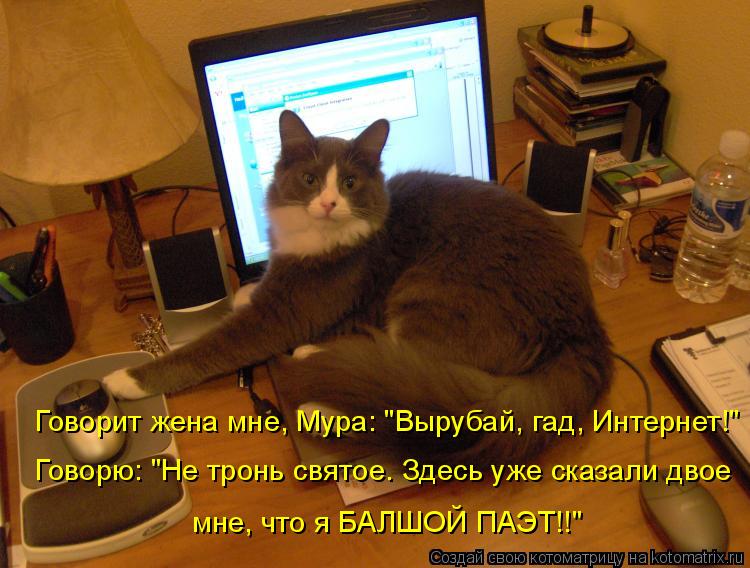 Говорит жена мне, Мура: "Вырубай, гад, Интернет!" Говорю: "Не тронь святое. Здесь уже сказали двое мн... Котоматрица: Говорит жена мне, Мура: "Вырубай, гад, Интернет!" Говорю: "Не тронь святое. Здесь уже сказали двое мне, что я БАЛШОЙ ПАЭТ!!"