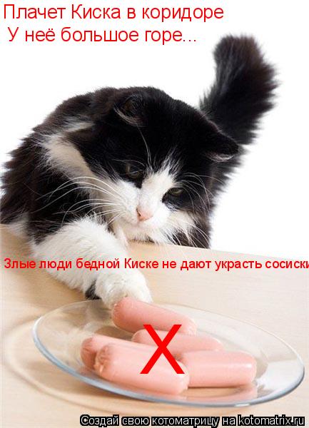 Х Плачет Киска в коридоре У неё большое горе... Злые люди бедной Киске не дают украсть сосиски!... Котоматрица: Х Плачет Киска в коридоре У неё большое горе... Злые люди бедной Киске не дают украсть сосиски!