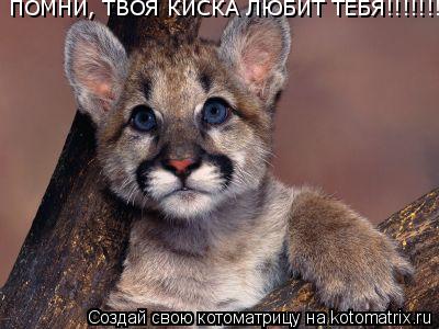 Пежня ру жеке