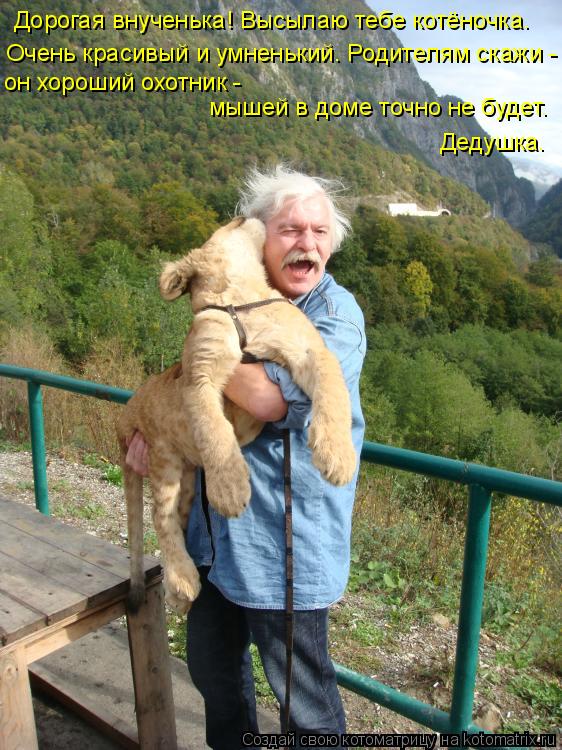 Дорогая внученька! Высылаю тебе котёночка. Очень красивый и умненький. Родителям скажи - он хороший ... Котоматрица: Дорогая внученька! Высылаю тебе котёночка. Очень красивый и умненький. Родителям скажи - он хороший охотник - мышей в доме точно не будет. Д