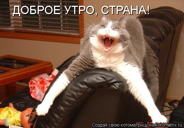 Котоматрица: ДОБРОЕ УТРО, СТРАНА!